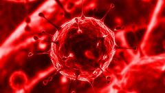 Как можно заразиться цитомегаловирусом