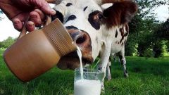 Какое молоко можно пить