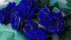 Как получить синие розы