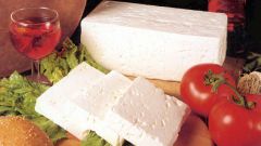 Чем полезен и вреден сыр брынза 
