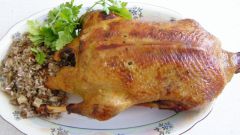 Блюда из дикой утки: вкусно и полезно 