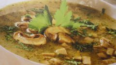 Вкусные и полезные супы без мяса 