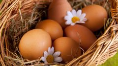 Почему в яйце могут быть два желтка