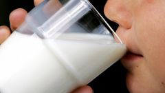 Из чего состоит пенка от молока