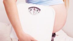 Какая норма прибавки веса на сроке беременности 26-27 недель 