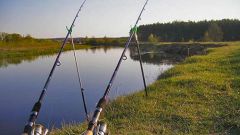 What are the different types of fishing rods