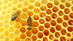 Как применять пчелиный воск