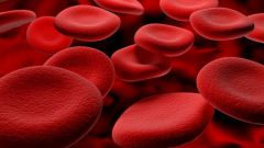 Что делать если лимфоциты в крови повышены