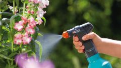 Можно ли поливать огородные растения мыльной водой