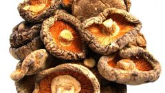 Как легко высушить грибы дома