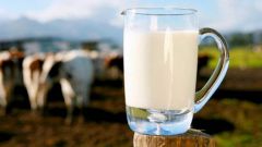 Какие полезные элементы содержатся в молоке