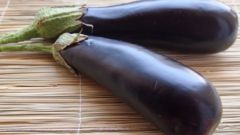 Eggplant in the fight against Smoking