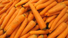 Как заморозить морковь