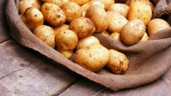Как и сколько хранить картофель