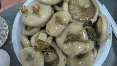 How to pickle mushrooms in jars hot