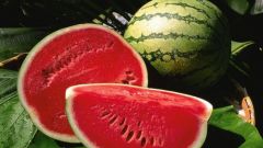 How to choose a watermelon