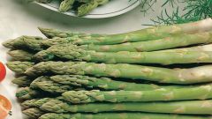 Asparagus: how to cook and what to eat 