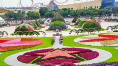 Арабское чудо света: парк цветов в Дубае 