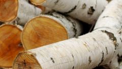Какие дрова лучше брать для приготовления шашлыка 