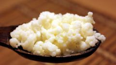 Как вырастить рисовый гриб для похудения
