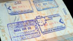 Как получить рабочую визу в страны Шенгенской зоны 