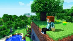 Выживание в лесу Minecraft: советы новичкам 
