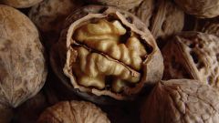 Настойка из перегородок грецкого ореха - натуральное лекарство