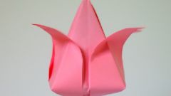 Тюльпаны оригами: красиво и изящно 