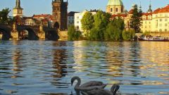 Отдых в Чехии с детьми: на что обратить внимание