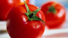 Tomato La-La-FA – medium early hybrid for cultivation in greenhouses