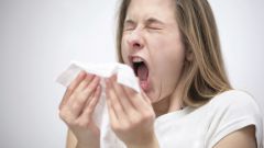 Аллергическое чихание - опасно ли оно для окружающих