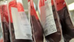 How much blood can lose without danger to life 