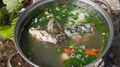 Рецепт супа из рыбьих голов