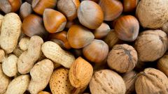  Орехи: виды, состав, полезные свойства