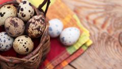 Диетические перепелиные яйца. В чем ценность продукта?