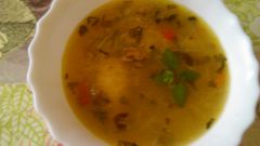 Суп из индейки "Нежный"