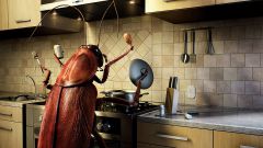 Как избавиться от тараканов в квартире навсегда в домашних условиях