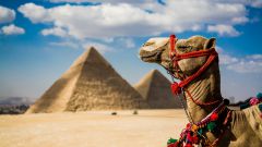 Как добраться до Египта без самолета