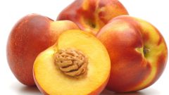 О полезных свойствах персикового масла