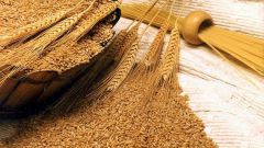 Применение зародышей пшеницы