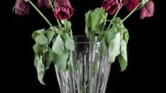 Animated bouquet of wilted roses