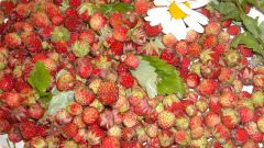 A simple recipe for liqueur wines from wild strawberries