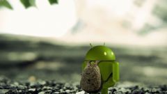 How to update Android on phone