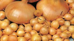 How to prepare onion sets for planting