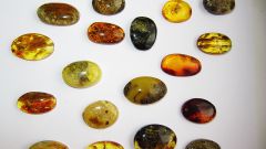 Магические свойства камней и минералов: янтарь
