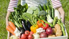 Как правильно поливать овощи на грядках