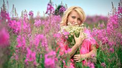 Useful and healing properties of willow-herb