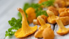 How to cook the chanterelles until tender