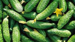 Why are cucumbers bitter? What to do with bitter cucumbers?