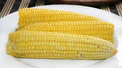 Как варить кукурузу: полезные советы